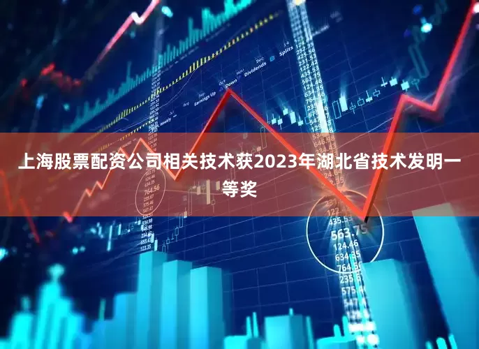 上海股票配资公司相关技术获2023年湖北省技术发明一等奖