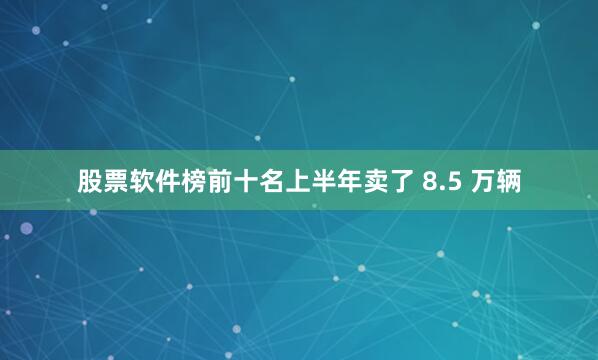 股票软件榜前十名上半年卖了 8.5 万辆